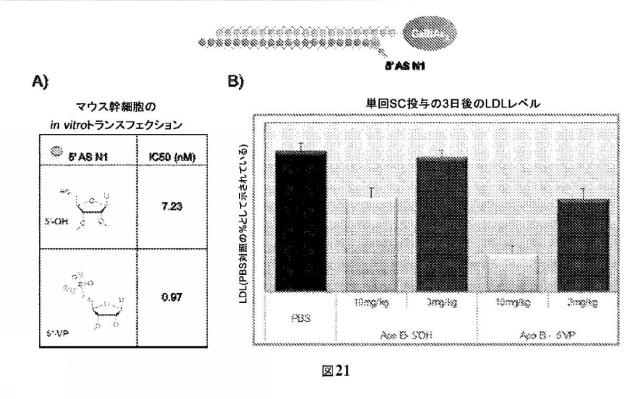 2021073182-修飾二本鎖ＲＮＡ剤 図000107