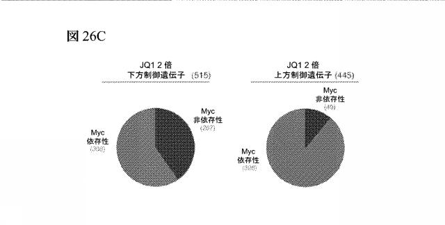 2016102105-白血病を治療するための組成物および方法 図000108