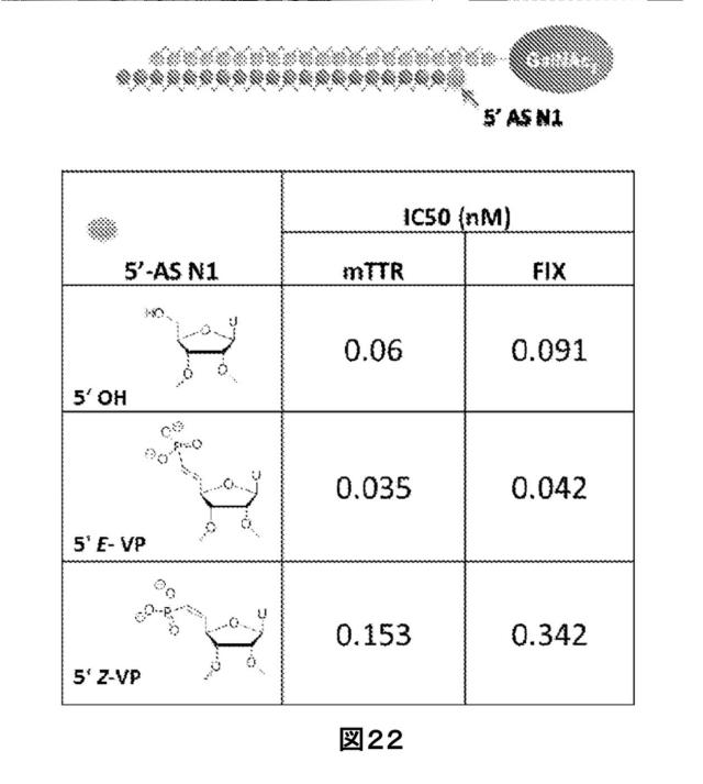 2021073182-修飾二本鎖ＲＮＡ剤 図000108