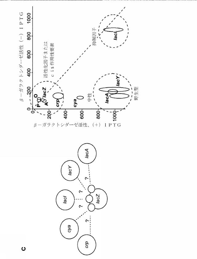 2018138054-ＲＮＡ依存性標的ＤＮＡ修飾およびＲＮＡ依存性転写調節のための方法および組成物 図000112