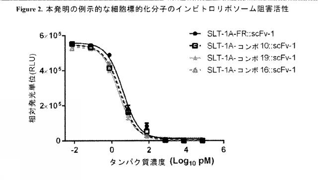 2021020905-脱免疫化された志賀毒素Ａサブユニット足場及びそれを含む細胞標的化分子 図000112