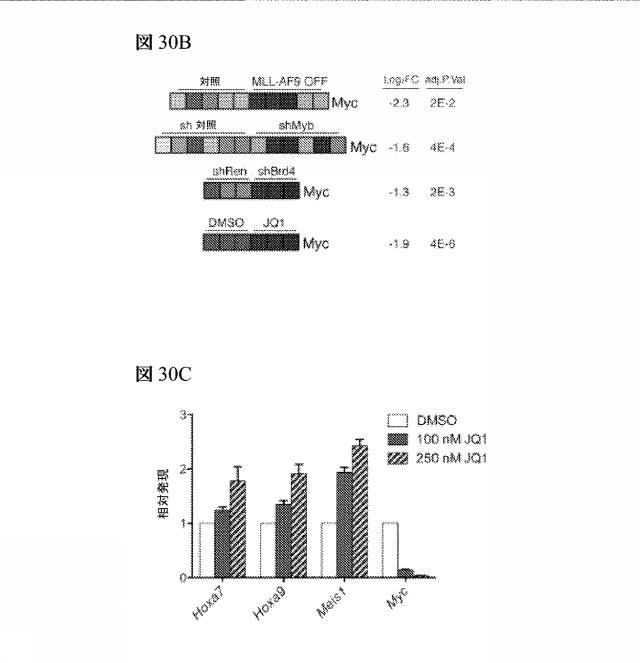 2016102105-白血病を治療するための組成物および方法 図000114