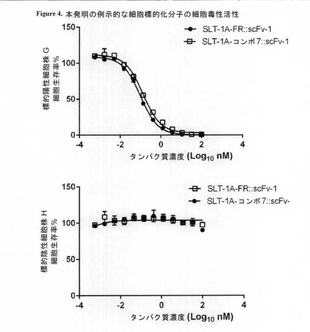 2021020905-脱免疫化された志賀毒素Ａサブユニット足場及びそれを含む細胞標的化分子 図000114