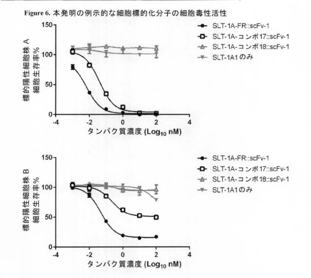 2021020905-脱免疫化された志賀毒素Ａサブユニット足場及びそれを含む細胞標的化分子 図000116