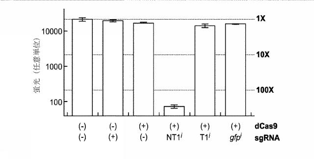 2018138054-ＲＮＡ依存性標的ＤＮＡ修飾およびＲＮＡ依存性転写調節のための方法および組成物 図000117