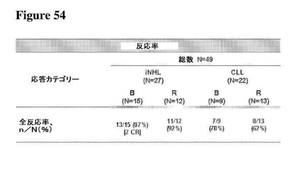 2016222700-血液学的な悪性疾患のための併用療法 図000119