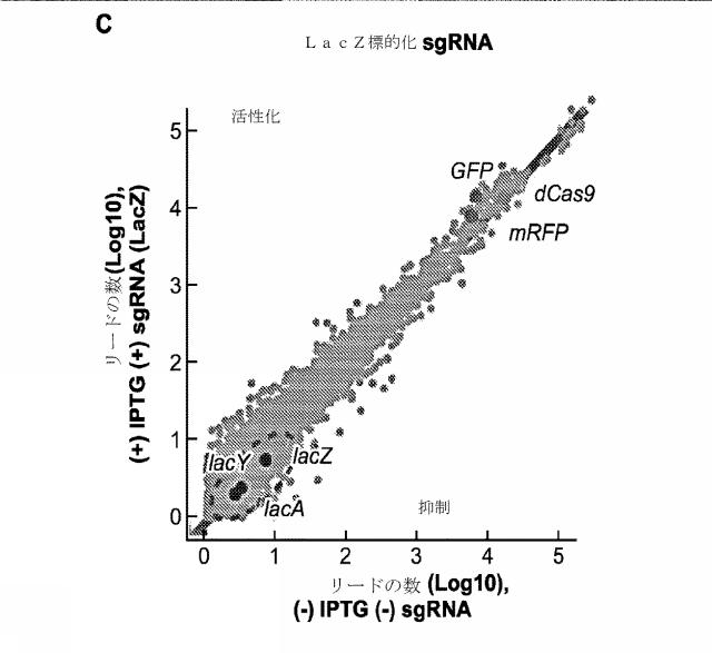 2018138054-ＲＮＡ依存性標的ＤＮＡ修飾およびＲＮＡ依存性転写調節のための方法および組成物 図000119