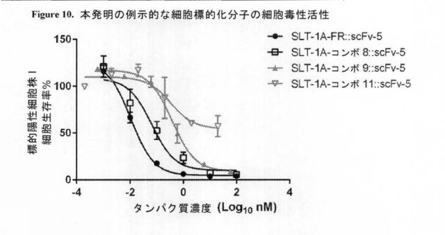 2021020905-脱免疫化された志賀毒素Ａサブユニット足場及びそれを含む細胞標的化分子 図000120