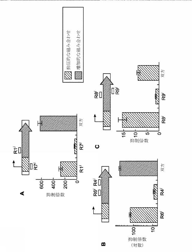2018138054-ＲＮＡ依存性標的ＤＮＡ修飾およびＲＮＡ依存性転写調節のための方法および組成物 図000122