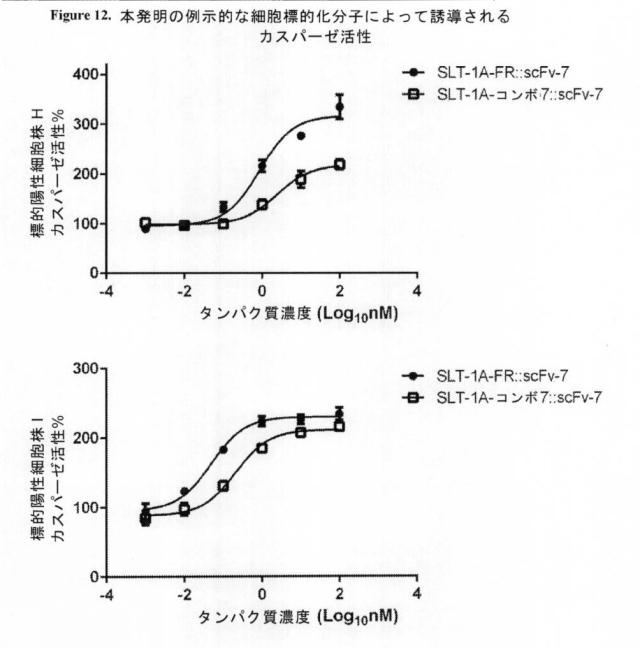 2021020905-脱免疫化された志賀毒素Ａサブユニット足場及びそれを含む細胞標的化分子 図000122