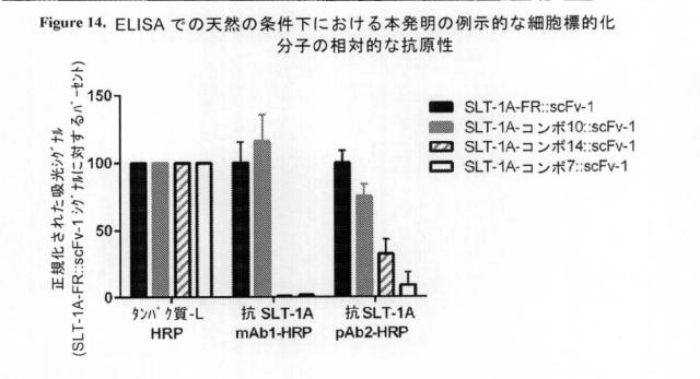 2021020905-脱免疫化された志賀毒素Ａサブユニット足場及びそれを含む細胞標的化分子 図000124