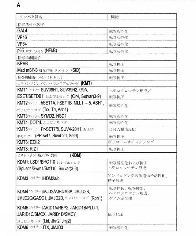 2018138054-ＲＮＡ依存性標的ＤＮＡ修飾およびＲＮＡ依存性転写調節のための方法および組成物 図000125