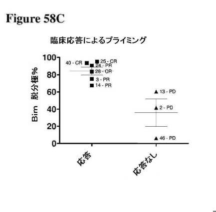 2016222700-血液学的な悪性疾患のための併用療法 図000126