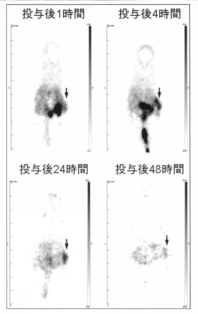 2018027961-新規な含窒素化合物もしくはその塩またはそれらと金属との錯体 図000126