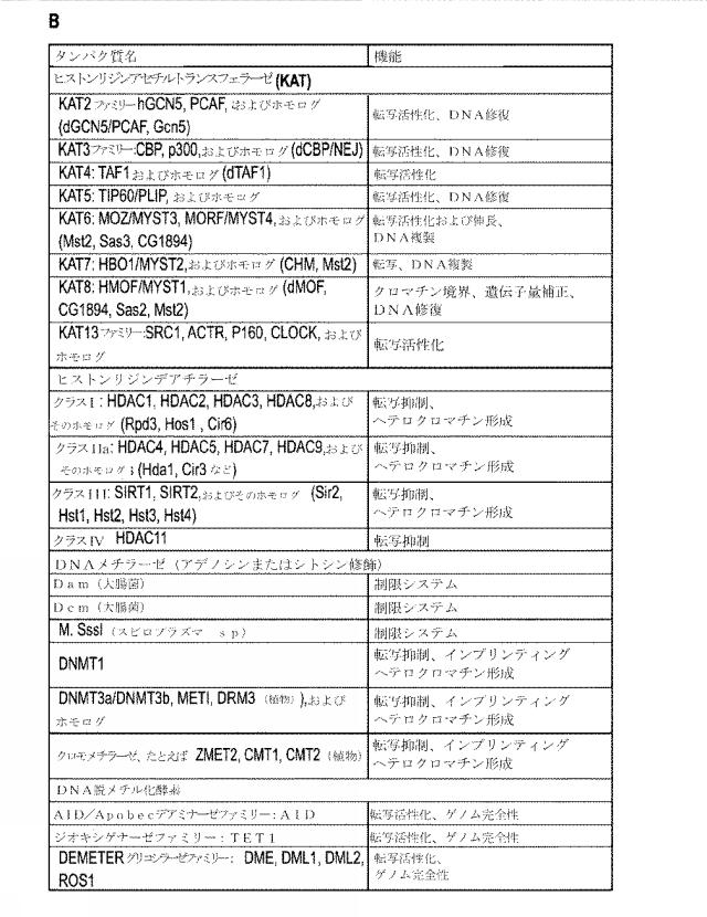 2018138054-ＲＮＡ依存性標的ＤＮＡ修飾およびＲＮＡ依存性転写調節のための方法および組成物 図000126