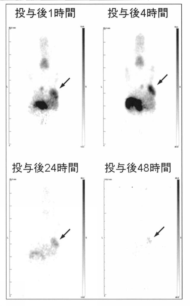 2018027961-新規な含窒素化合物もしくはその塩またはそれらと金属との錯体 図000127