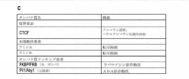 2018138054-ＲＮＡ依存性標的ＤＮＡ修飾およびＲＮＡ依存性転写調節のための方法および組成物 図000127