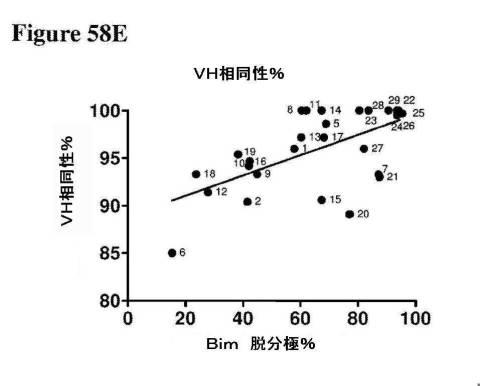 2016222700-血液学的な悪性疾患のための併用療法 図000128