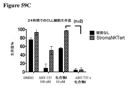 2016222700-血液学的な悪性疾患のための併用療法 図000131