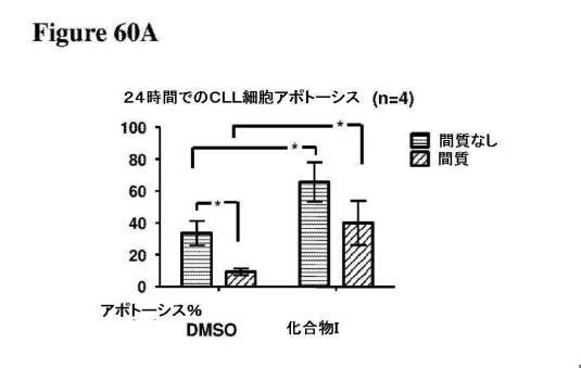 2016222700-血液学的な悪性疾患のための併用療法 図000134