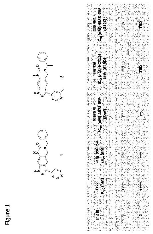 2019031549-ＥＲＫの阻害剤および使用方法 図000170