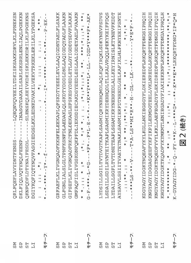 2021192615-ＣＲＩＳＰＲ関連方法および支配ｇＲＮＡのある組成物 図000172