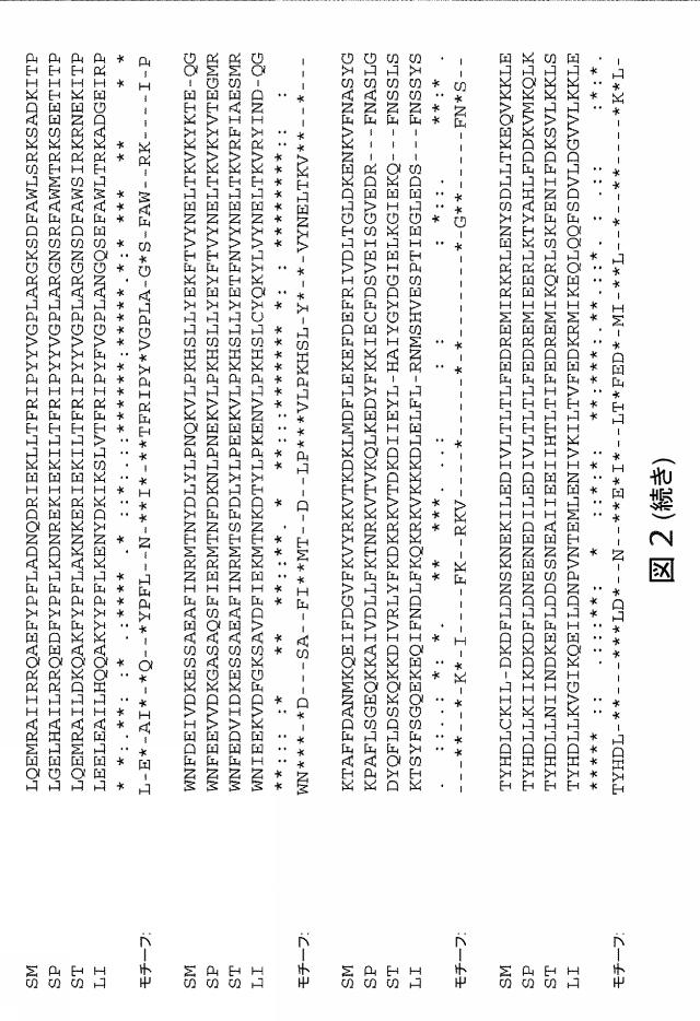 2021192615-ＣＲＩＳＰＲ関連方法および支配ｇＲＮＡのある組成物 図000173