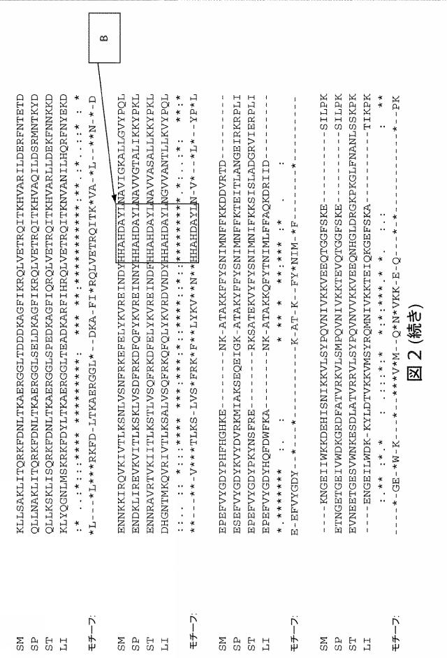 2021192615-ＣＲＩＳＰＲ関連方法および支配ｇＲＮＡのある組成物 図000175