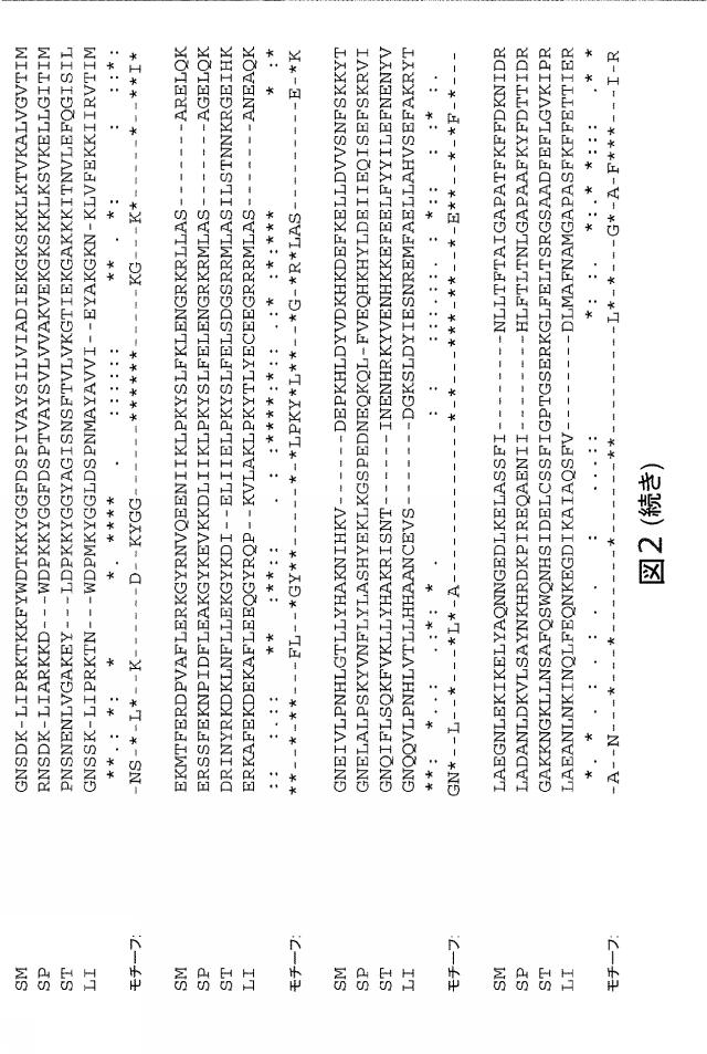 2021192615-ＣＲＩＳＰＲ関連方法および支配ｇＲＮＡのある組成物 図000176