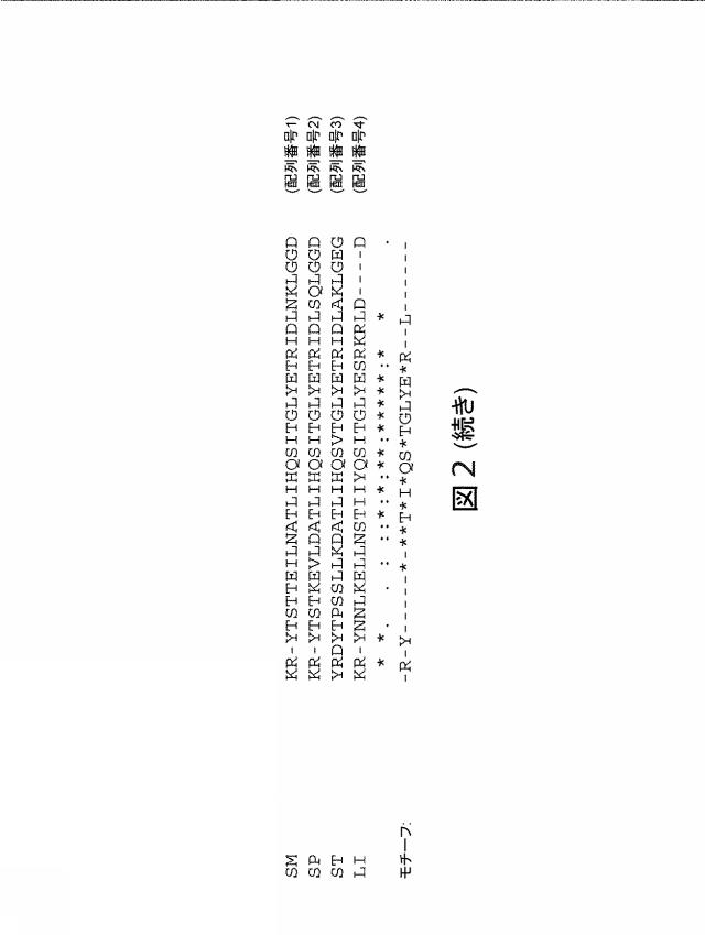 2021192615-ＣＲＩＳＰＲ関連方法および支配ｇＲＮＡのある組成物 図000177