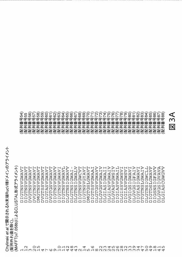 2021192615-ＣＲＩＳＰＲ関連方法および支配ｇＲＮＡのある組成物 図000178