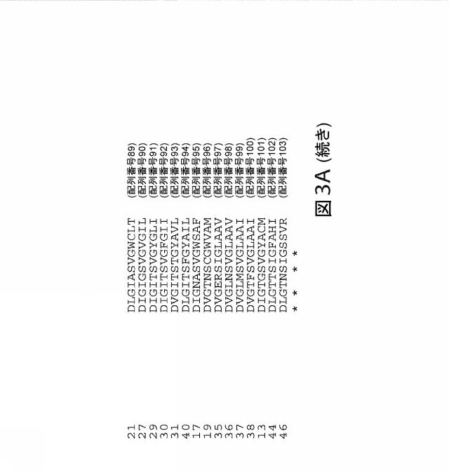 2021192615-ＣＲＩＳＰＲ関連方法および支配ｇＲＮＡのある組成物 図000179