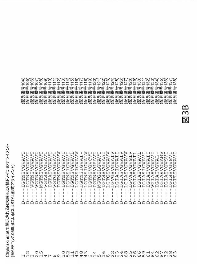 2021192615-ＣＲＩＳＰＲ関連方法および支配ｇＲＮＡのある組成物 図000180