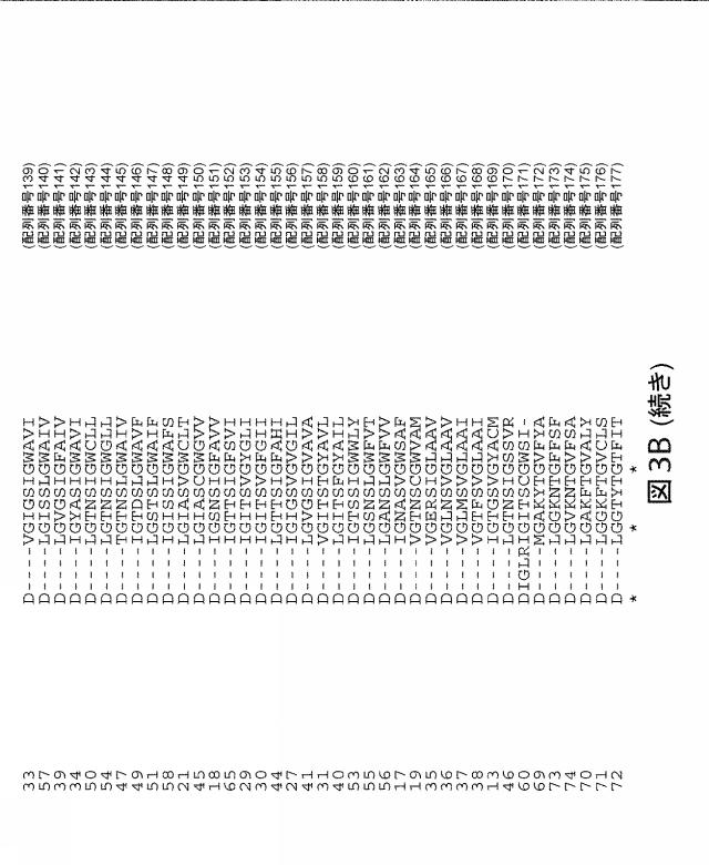 2021192615-ＣＲＩＳＰＲ関連方法および支配ｇＲＮＡのある組成物 図000181