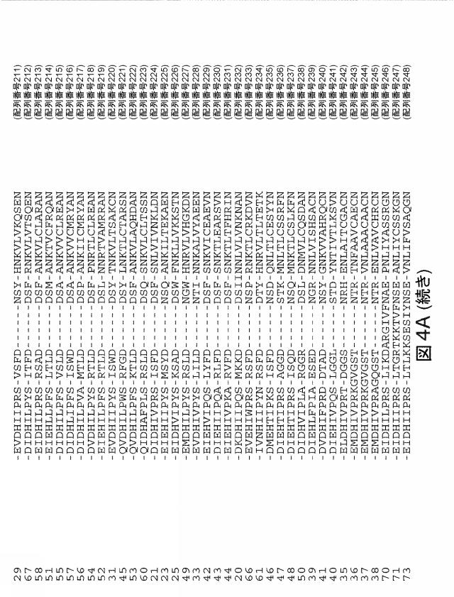 2021192615-ＣＲＩＳＰＲ関連方法および支配ｇＲＮＡのある組成物 図000183