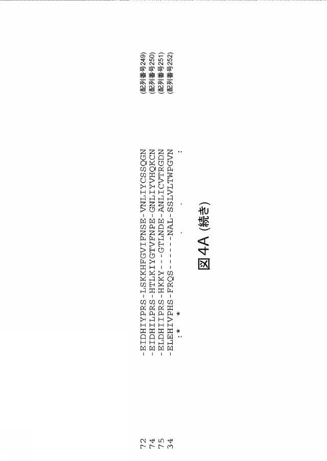 2021192615-ＣＲＩＳＰＲ関連方法および支配ｇＲＮＡのある組成物 図000184