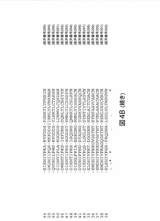 2021192615-ＣＲＩＳＰＲ関連方法および支配ｇＲＮＡのある組成物 図000186