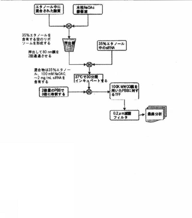 2019048887-製剤用化合物 図000192