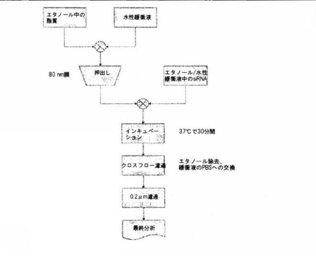 2019048887-製剤用化合物 図000194