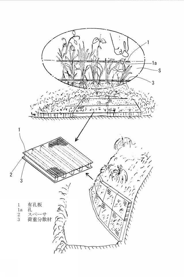 5765906-食害防止装置及び食害防止工法 図000002