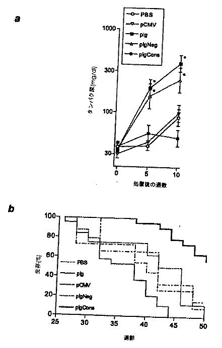 5854604-Ｉｇ−ｐＣｏｎｓｅｎｓｕｓ遺伝子ワクチン接種は、自己免疫疾患における抗体依存性の免疫病態から保護する 図000002