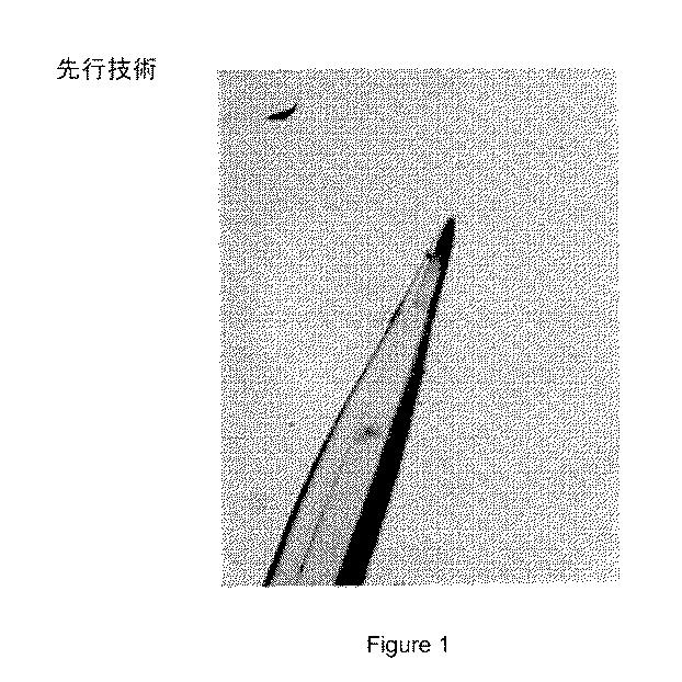 5881187-質量分析システムに二重カーテンガスを提供する方法およびシステム 図000002