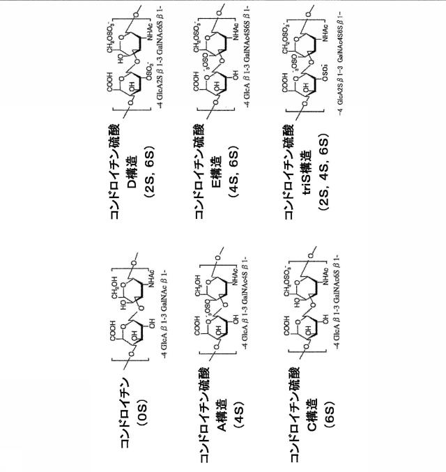 5885136-高硫酸化コンドロイチン硫酸類の合成方法、高硫酸化コンドロイチン硫酸類、および解析用試薬 図000002