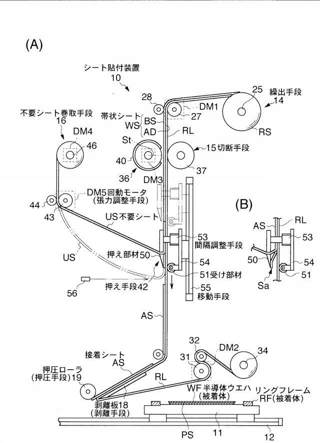 5943573-シート製造装置及び製造方法 図000002