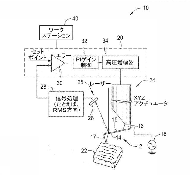 5944982-小型スキャナを備える走査型プローブ顕微鏡 図000002