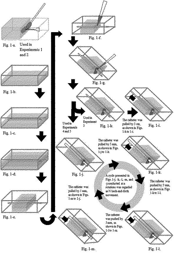 5954640-感染評価系モデル 図000002