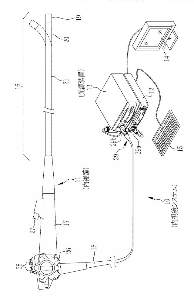 6203127-内視鏡用光源装置及び内視鏡システム 図000002