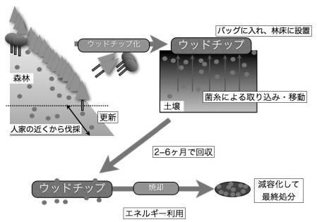 6243184-土壌の放射性セシウム除染方法 図000002