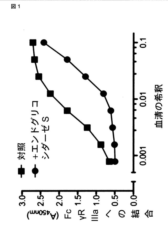 6249962-抗体およびエンドグリコシダーゼの組合せ治療上の使用 図000002