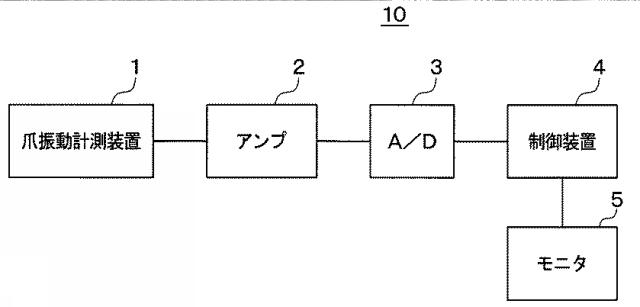 6252845-爪振動計測装置、爪振動モニタリングシステムおよび爪振動フィードバック提示システム 図000002